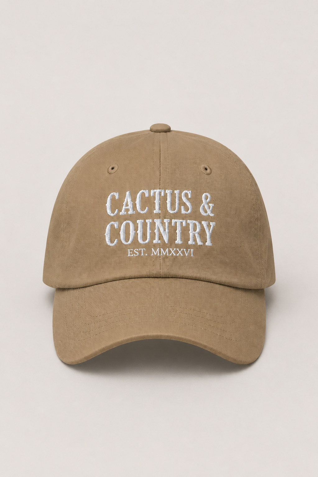 Cactus & Country embroidered dad hat in khaki – view 4