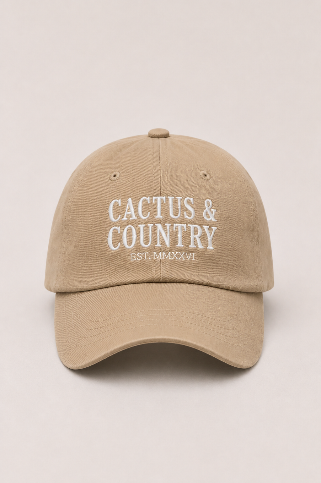 Cactus & Country embroidered dad hat in stone – view 4