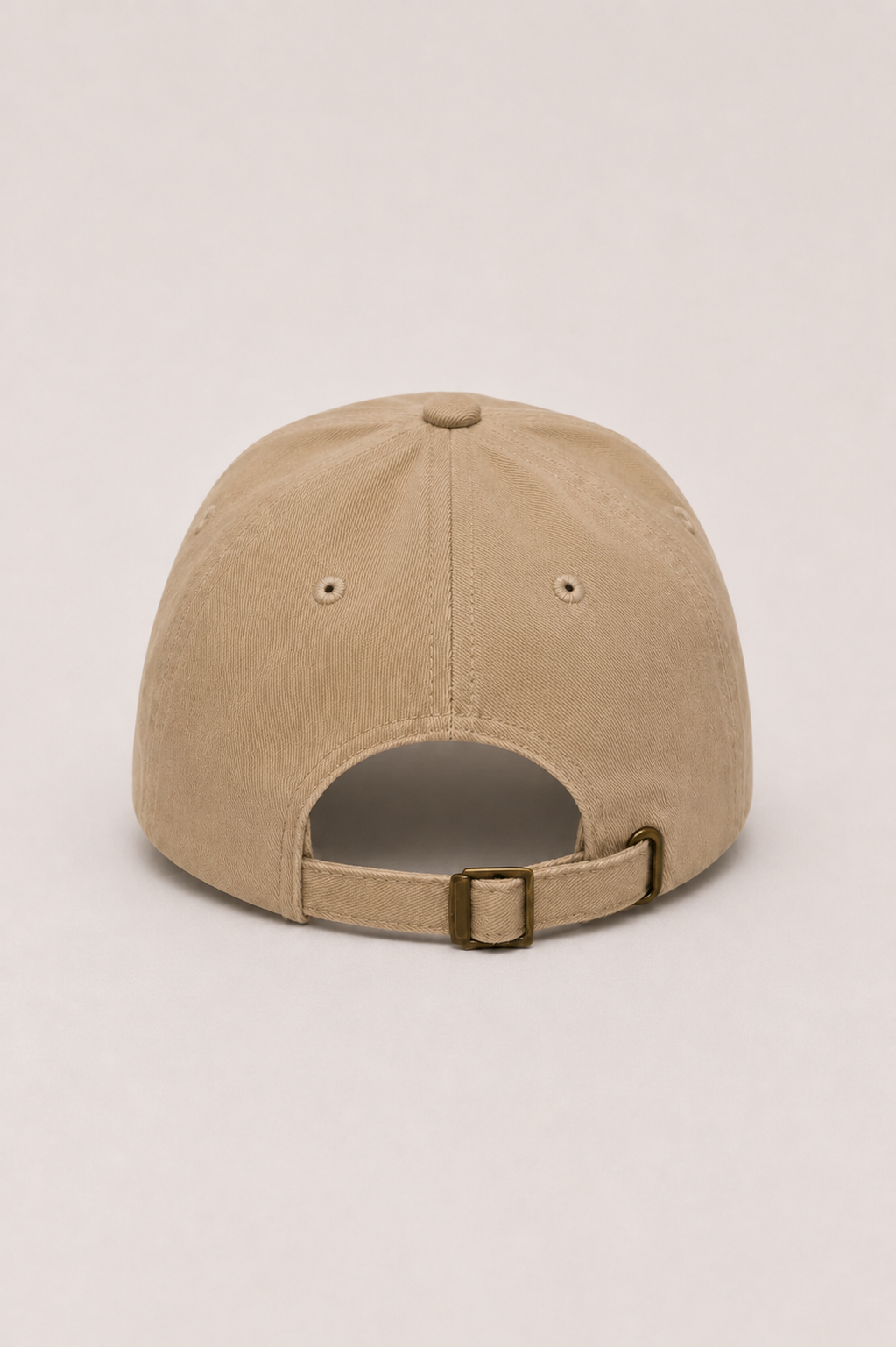 Cactus & Country embroidered dad hat in stone – view 3