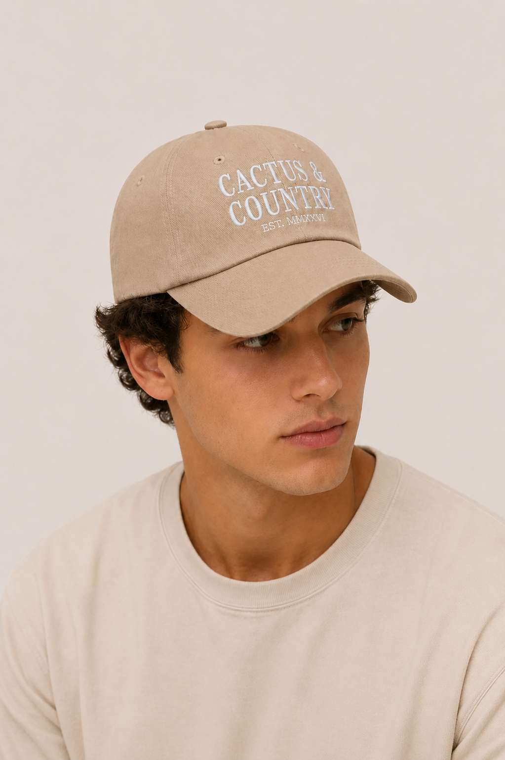 Cactus & Country embroidered dad hat in stone
