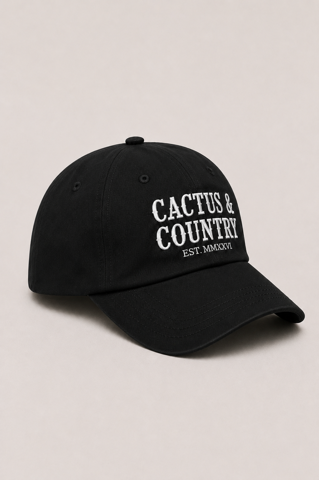 Cactus & Country embroidered dad hat in black – view 2