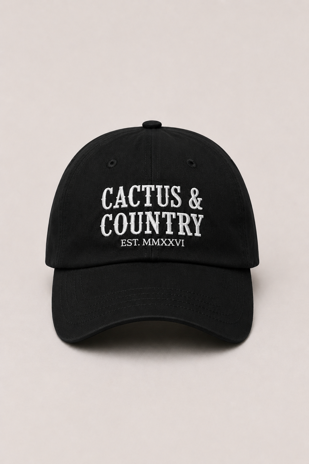 Cactus & Country embroidered dad hat in black – view 4